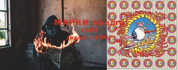 крисы Армянск