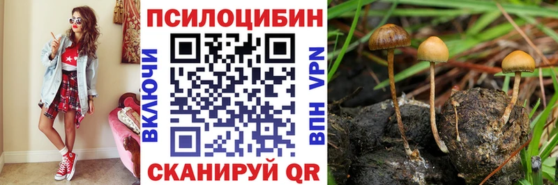 сколько стоит  Кущёвская  мега онион  Галлюциногенные грибы мицелий 